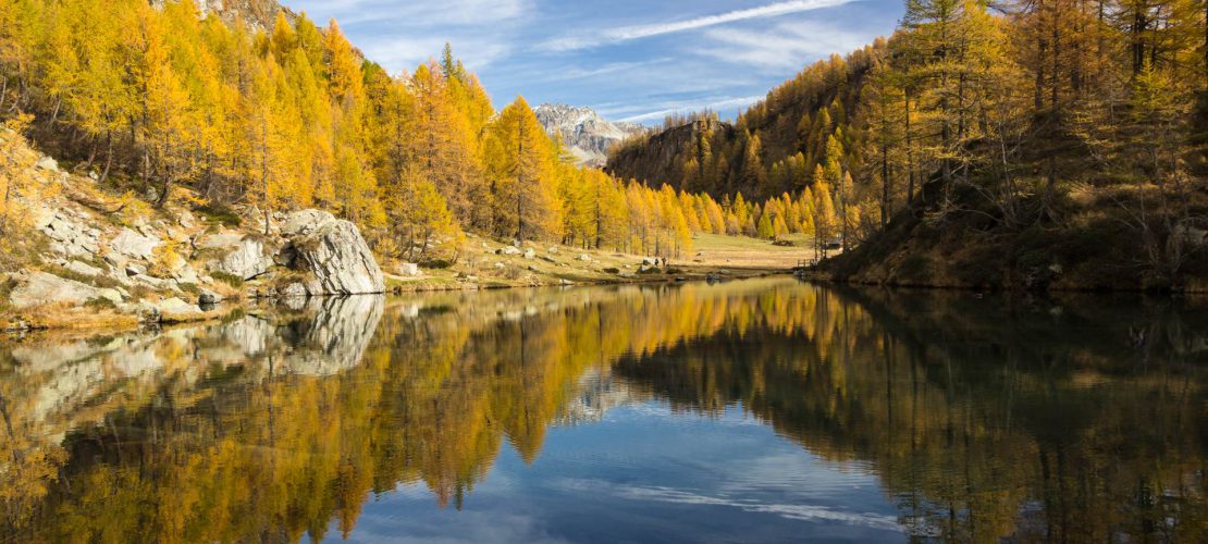 Libro ebook di fotografia per principianti, immagine di copertina